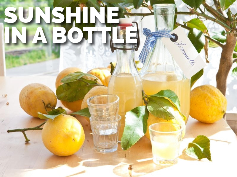 Zest of the Amalfi Coast: Homemade Limoncello Recipe