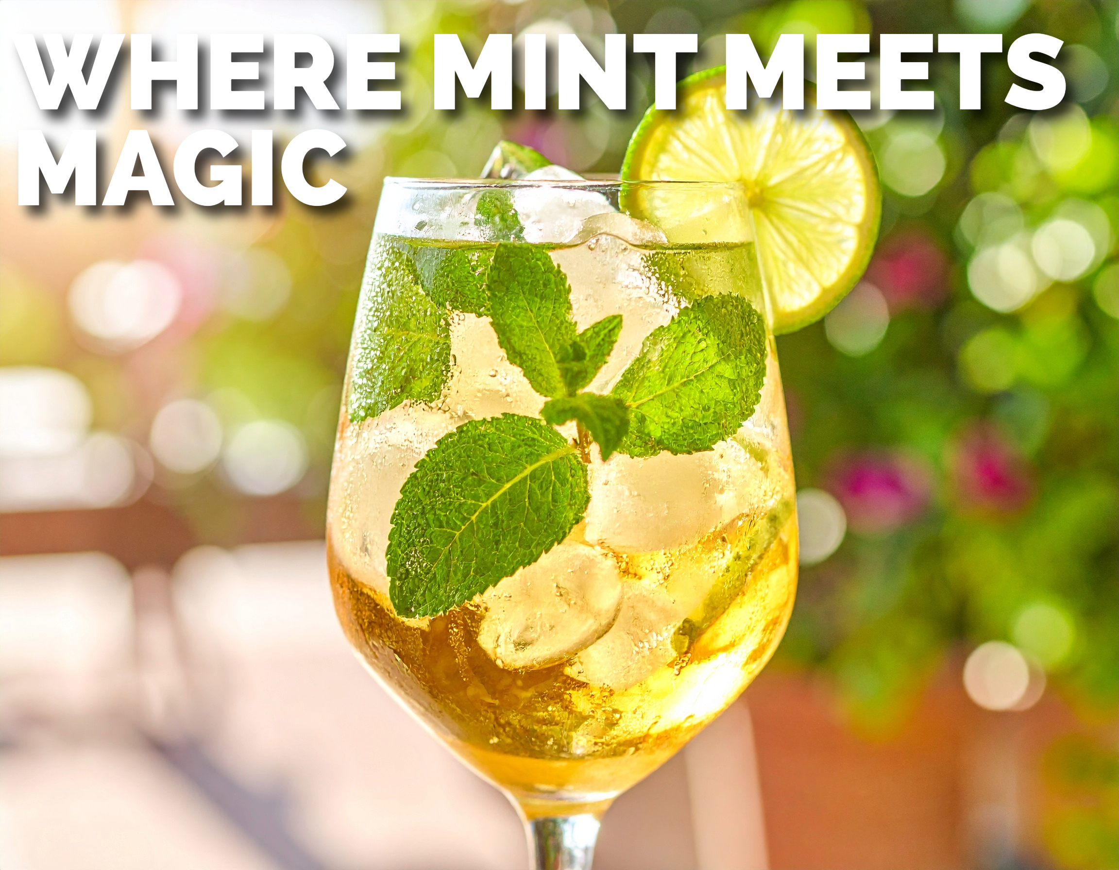 Where mint meets magic - glass of hugo spritz